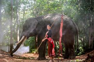 Elephant with beautiful girl in asian countryside, Thailand - Thai elephant and pretty woman with traditional dress in Surin region photo