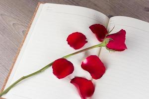 Red rose on notebook background photo