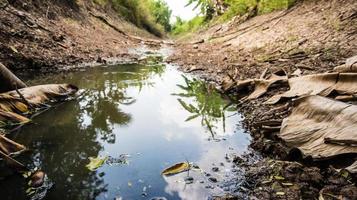 canal con bajo nivel de agua debido a la sequía foto