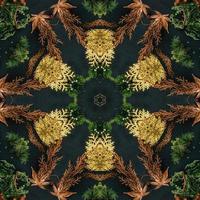 Dark green abstract rectangular background. Spruce kaleidoscope pattern. Free background. photo