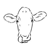 bosquejo del vector de la vaca