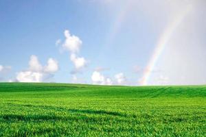 A large meadow in the background is the sky. nature background image concept photo