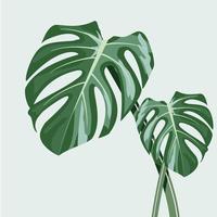 monstera en el diseño de vectores de macetas.