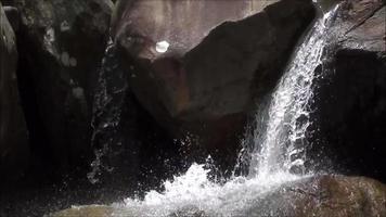 waterval in het wilde bos rivier van waterstromen die in de rotsen stromen video