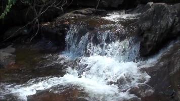 waterval in het wilde bos rivier van waterstromen die in de rotsen stromen video