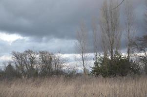 Thunderclouds in the evening on the sky in the village photo