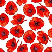 Seamless pattern with hand drawn wild red poppy flowers isolated on white background. Design element for textile, fabrics, wrapping paper or wallpapers. Vector illustration.