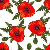 Seamless pattern with hand drawn wild red poppy flowers isolated on white background. Design element for textile, fabrics, wrapping paper or wallpapers. Vector illustration.