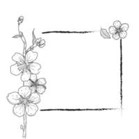 vector de arte de línea de flor de cerezo