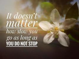 Sun rays on white flowers in a field with a motivational and inspirational quote photo