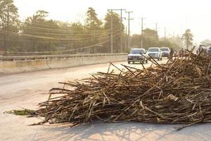 muchos escombros de caña caen en el camino. foto