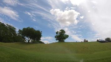 Tree and white clouds and sky video