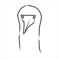 blue-legged booby vector sketch