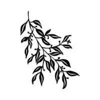 decorative branch vector sketch