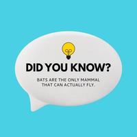Did you know interesting fact Vector Illustration