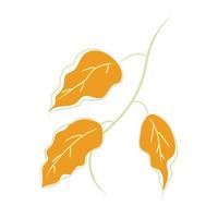 An icon of leaf in hand drawn vector