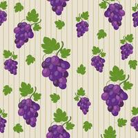 Fruit pattern from grapes, color vector illustration