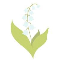 beautiful flower lily of the valley.  Vector illustration.  for design, postcards, decor and decoration, print