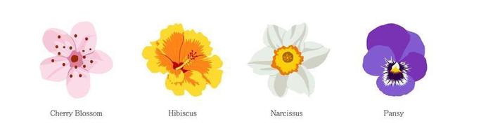 Set of different flowers on white background. vector