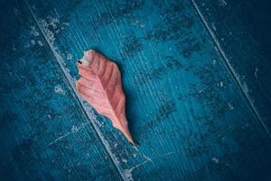 Top view of Autumn Leave over rustic wooden table background with Copy space photo