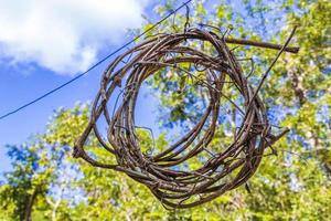 Wreath from wood sticks jungle forest Playa del Carmen Mexico. photo