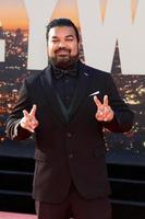 LOS ANGELES  JUL 22, Adrian Dev at the Once Upon a Time in Hollywod Premiere at the TCL Chinese Theater IMAX on July 22, 2019 in Los Angeles, CA photo