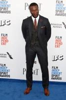 LOS ANGELES  FEB 25, Aldis Hodge at the 32nd Annual Film Independent Spirit Awards at Beach on February 25, 2017 in Santa Monica, CA photo