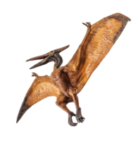 pteranodon pterodactyl dinossauro em fundo branco
