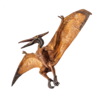 pteranodon pterodactyl dinosaurio sobre fondo blanco png