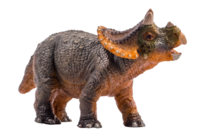 Triceratops, Dinosaurier auf weißem Hintergrund. Beschneidungspfad png