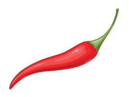 Red hot Chili pepper. Mexican traditional food. vector