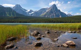 lago de aves acuáticas, icefield parkway, parque nacional de banff, alberta, canadá foto