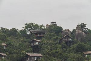 Chinese jungle, island of Hainan photo