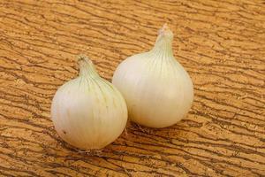 White ripe sweet onion vegetable photo