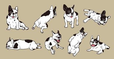 Cute French Bulldog vector set