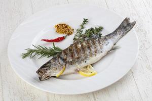 Grilled seabass on plate photo
