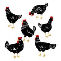 pollo, gallo, gallina, icono animal granja avícola charcter vector ilustración.
