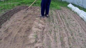 trabajar como picadora para el procesamiento manual de lechos de jardín en el pueblo video