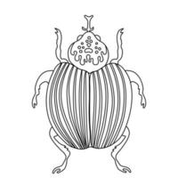 escarabajo insecto exótico. línea de insectos voladores tropicales arte vector dibujado a mano ilustración aislada. elemento de diseño místico estilizado para tatuaje, impresión, portada, libro, página de color