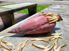 Banana blossom, high in nutrients, nourish the blood because the bulb has iron. prevent anemia, Close up photo