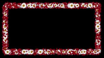 marco de bordes animados de flores blancas y pétalos rojos descarga gratuita video