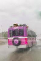 Playa del Carmen Quintana Roo Mexico 2022 Pink Xcaret bus drives in heavy rain on highway Mexico. photo