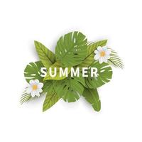 summer abstract background with leaf vector