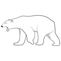 Polar Bear in Outline Sketch. vector