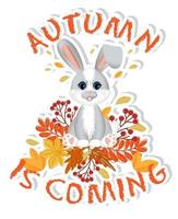 Sticker with symbol of the 2023 year. Cute little rabbit or hare is sitting with autumn leaves. vector