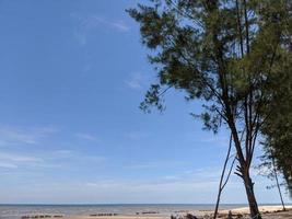 Enjoy the atmosphere of a sunny beach afternoon in Kalimantan, Indonesia photo