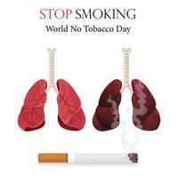 afiche, volante o pancarta para el día mundial sin tabaco y una imagen de los pulmones humanos. ilustración vectorial, dejar de fumar