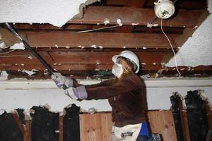 LOS ANGELES, FEB 9 -  Kelly Sullivan demolishing a ceiling at the 4th General Hospital Habitat for Humanity Fan Build Day at the 191 E  Marker Street on February 9, 2013 in Long Beach, CA photo