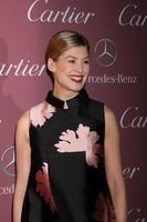 LOS ANGELES, JAN 3 - Rosamund Pike at the Palm Springs Film Festival Gala at a Convention Center on January 3, 2014 in Palm Springs, CA photo