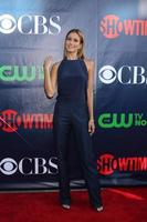 LOS ANGELES, JUL 17 - Renee Bargh at the CBS TCA July 2014 Party at the Pacific Design Center on July 17, 2014 in West Hollywood, CA photo